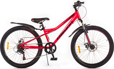 Велосипед Favorit MATRIX-24MDS, MTX24MD12RS